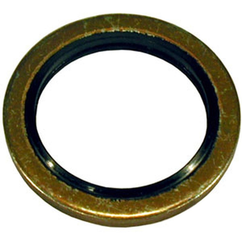 1888008M1 Tipping Pipe Banjo Bolt Liftcover Seal Fits Massey Ferguson 40 135