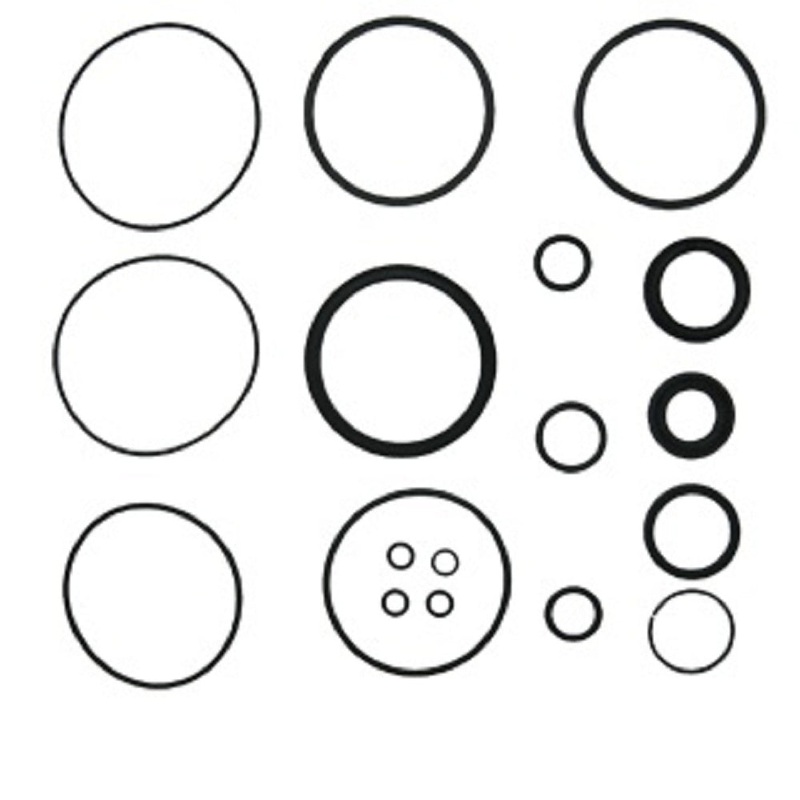 DGPN3301B Power Steering Cylinder Seal Kit Fits Ford Tractor 5700 6700