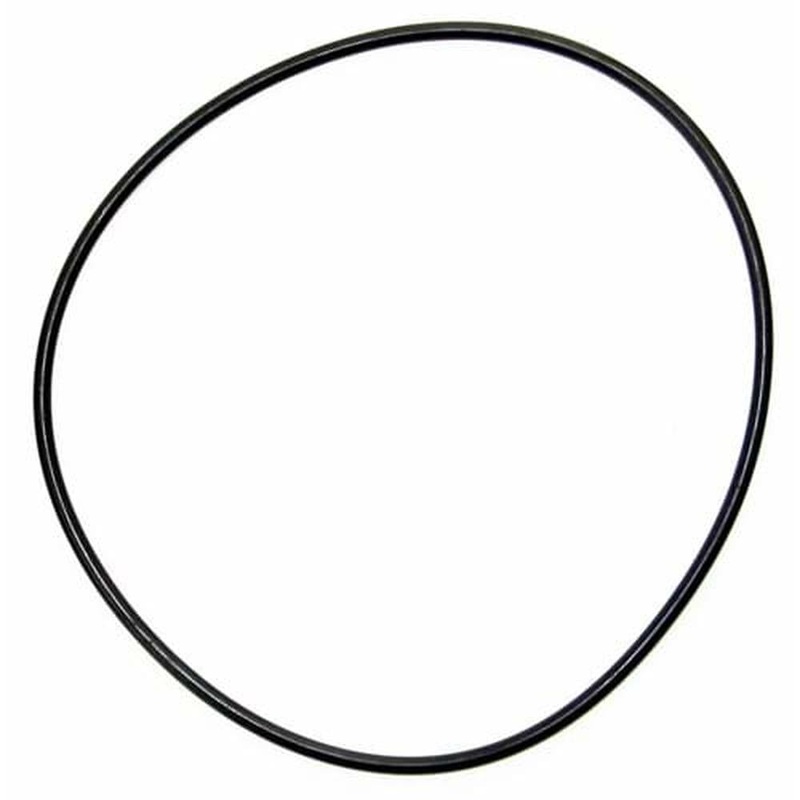 252556 IPTO Bearing Cage O-Ring Fits International