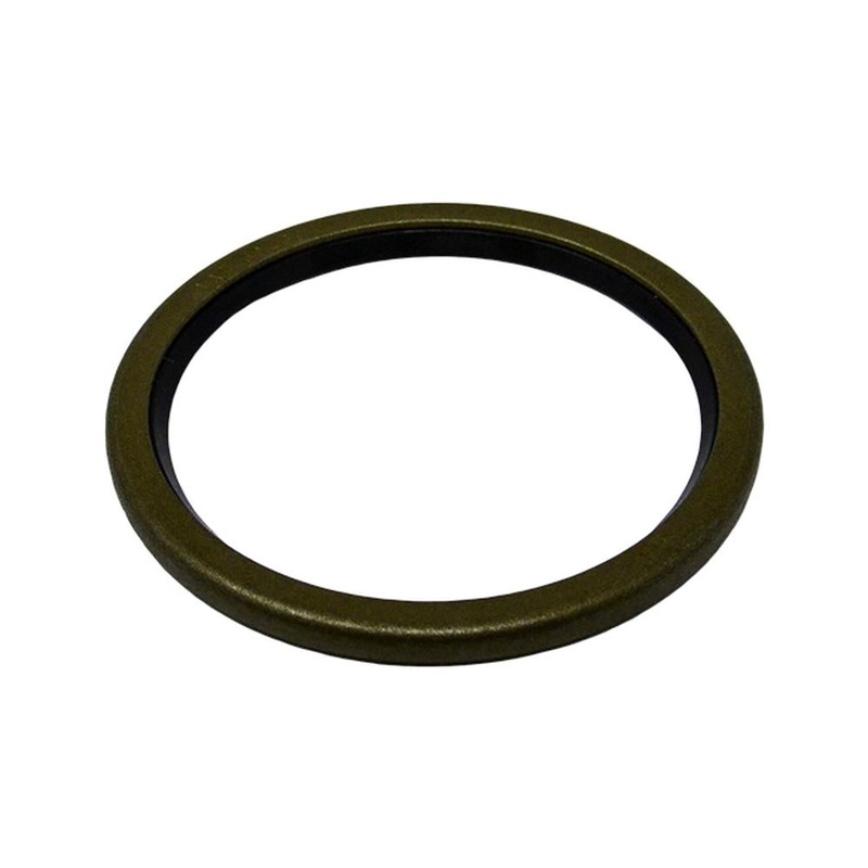 50X60X4 Seal Fits PVP