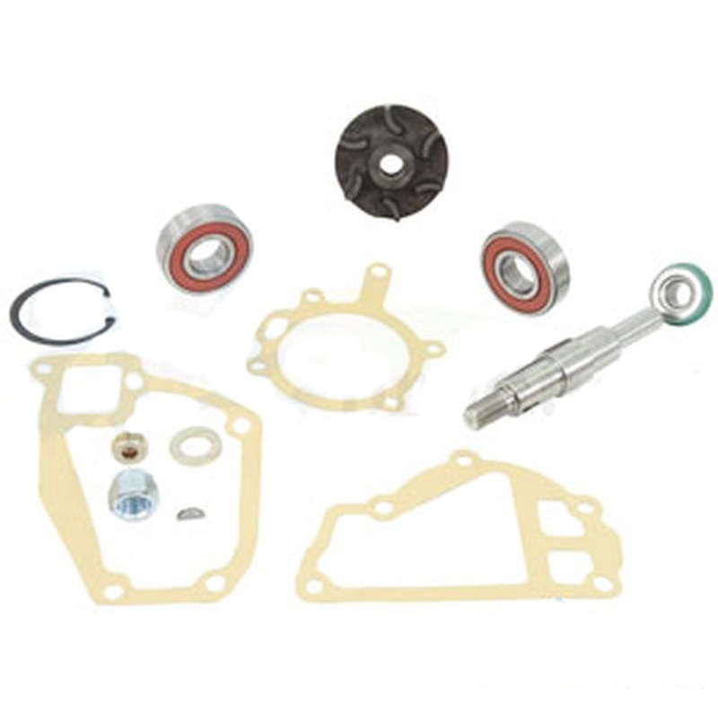 A-3641333M91-AI Kit, Water Pump Repair