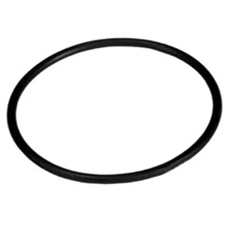 A-02300105-AI Sealing Ring, Liner