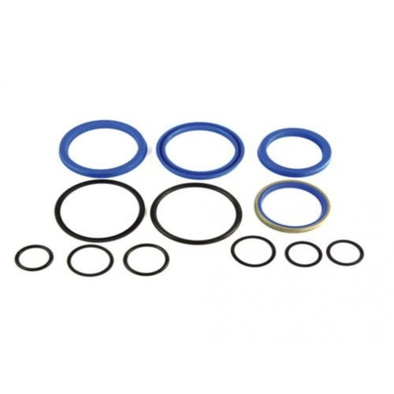 Loader Hydraulic Cylinder Seal Kit fits Farmhand HYI40-0320 1R3110