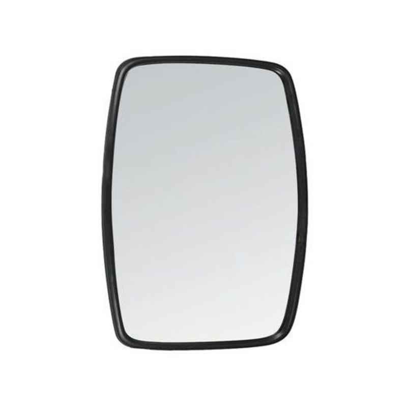 Mirror Head 9" x 16"