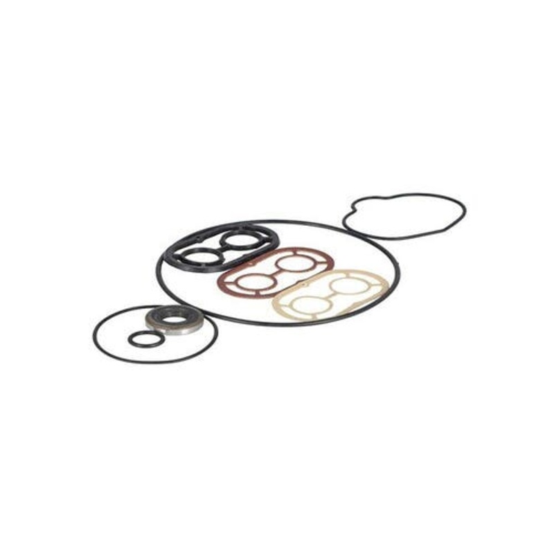 Power Steering Pump Seal Kit fits Massey Ferguson 65 165 175 255 265 275 285 690 1080 1085 50 65 275 30 30 40B 50 50A 50C 50D 302 304 6500 523089M91